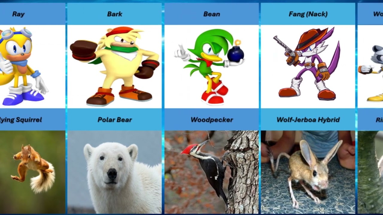 From Games to Reality: What Would Sonic Characters Look Like as Real Animals?