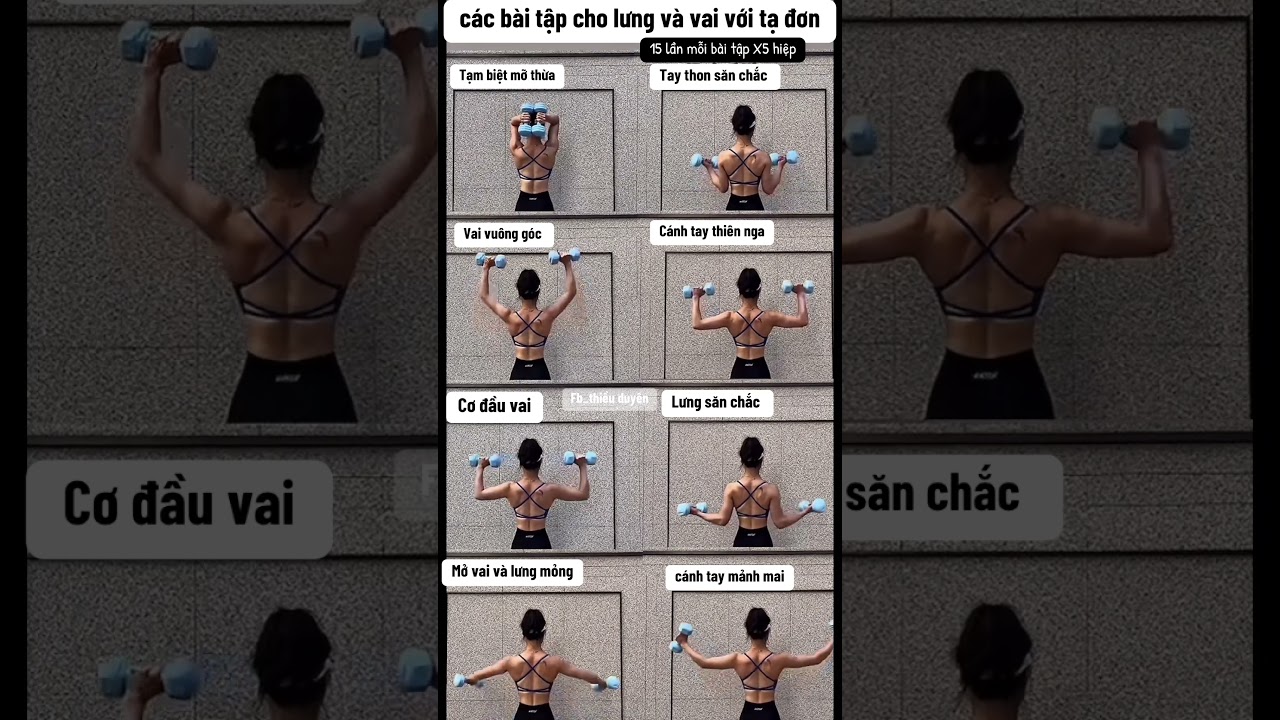 c&aacute;c b&agrave;i tập vai v&agrave; lưng bằng tạ đơn d&agrave;nh cho nữ. Người mới n&ecirc;n sưu tầm luyện tập #taython #lunggay
