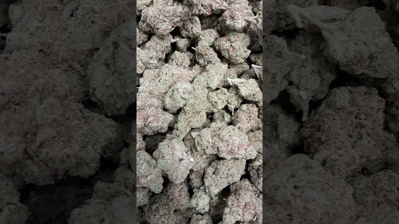 Dom Jackson Craft Cannabis Banjo Buds