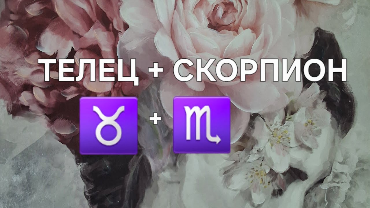 ТЕЛЕЦ И СКОРПИОН. ИХ СОВМЕСТИМОСТЬ. ♉️💝♏️
