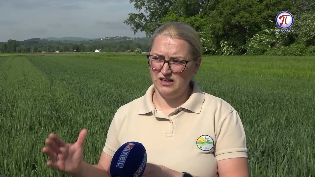 „Poljosavet“ Loznica: Saveti stručnjaka za zaštitu pšenice od fuzarioze klasa