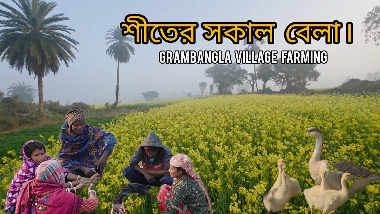 শীতের সকাল বেলা । #villagefarmingvlogs 