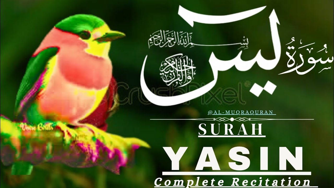 Surah Yaseen &ndash; EP 61 | Peaceful & Inspiring Quran Recitation | Al Muqra Channel