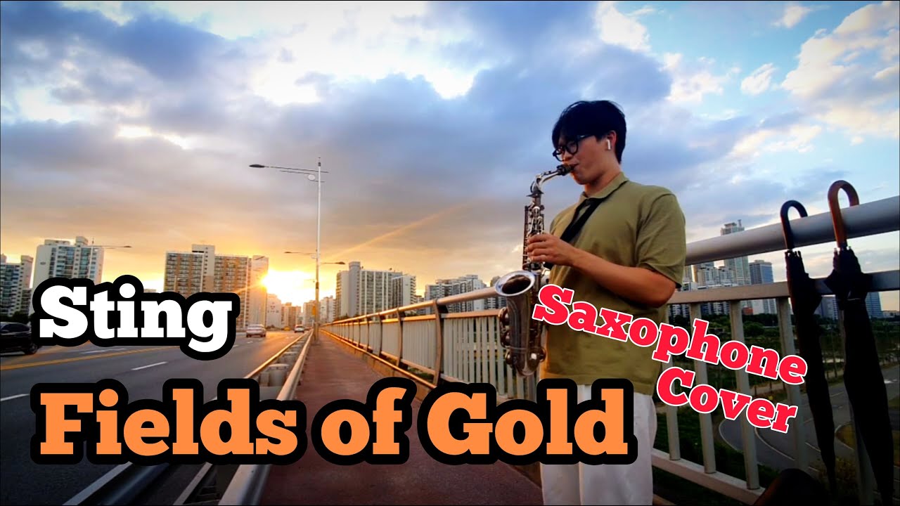 Sting - Fields Of Gold [SAXOPHONE COVER]