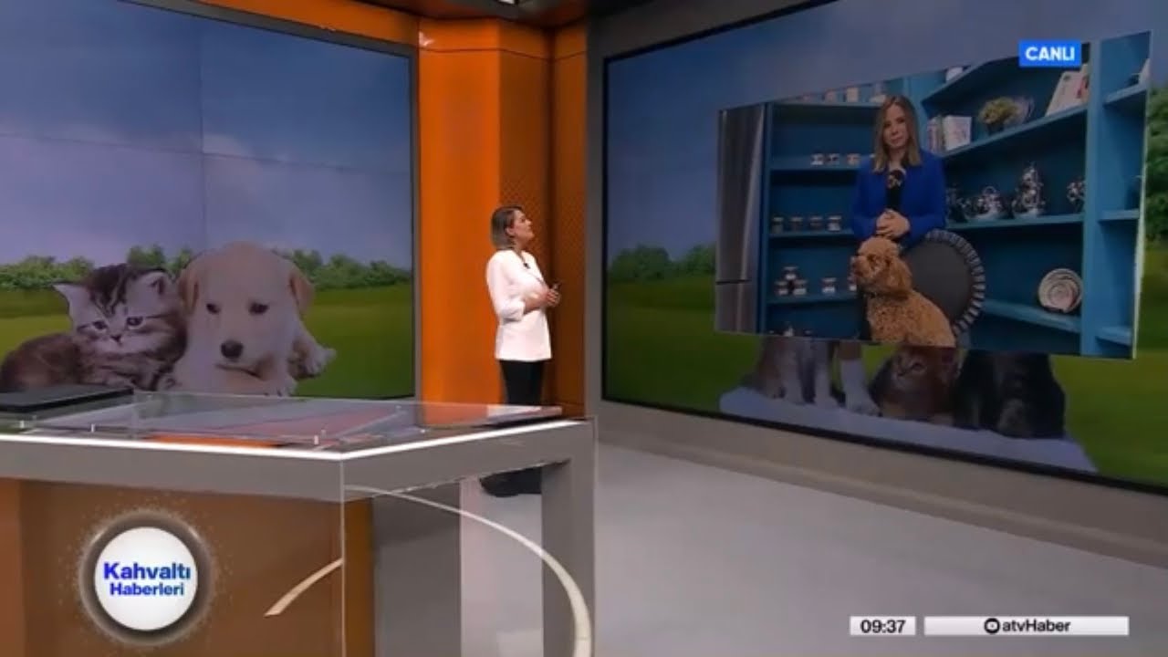 Petchef Raw, (Barf) Natural Mama -  ATV Sabah Haberleri