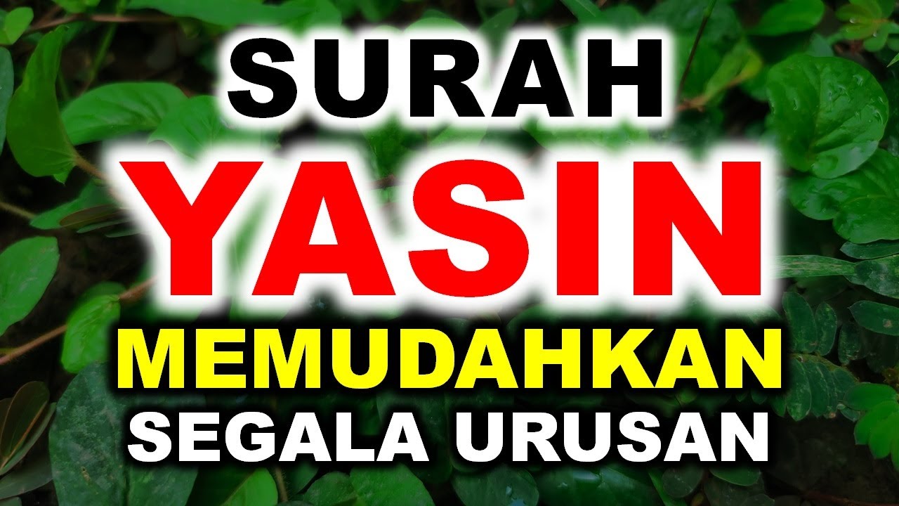Memudahkan Rezeki Datang Dengan Bacaan Surat Yasin Merdu Arab Latin Terjemahan Indonesia