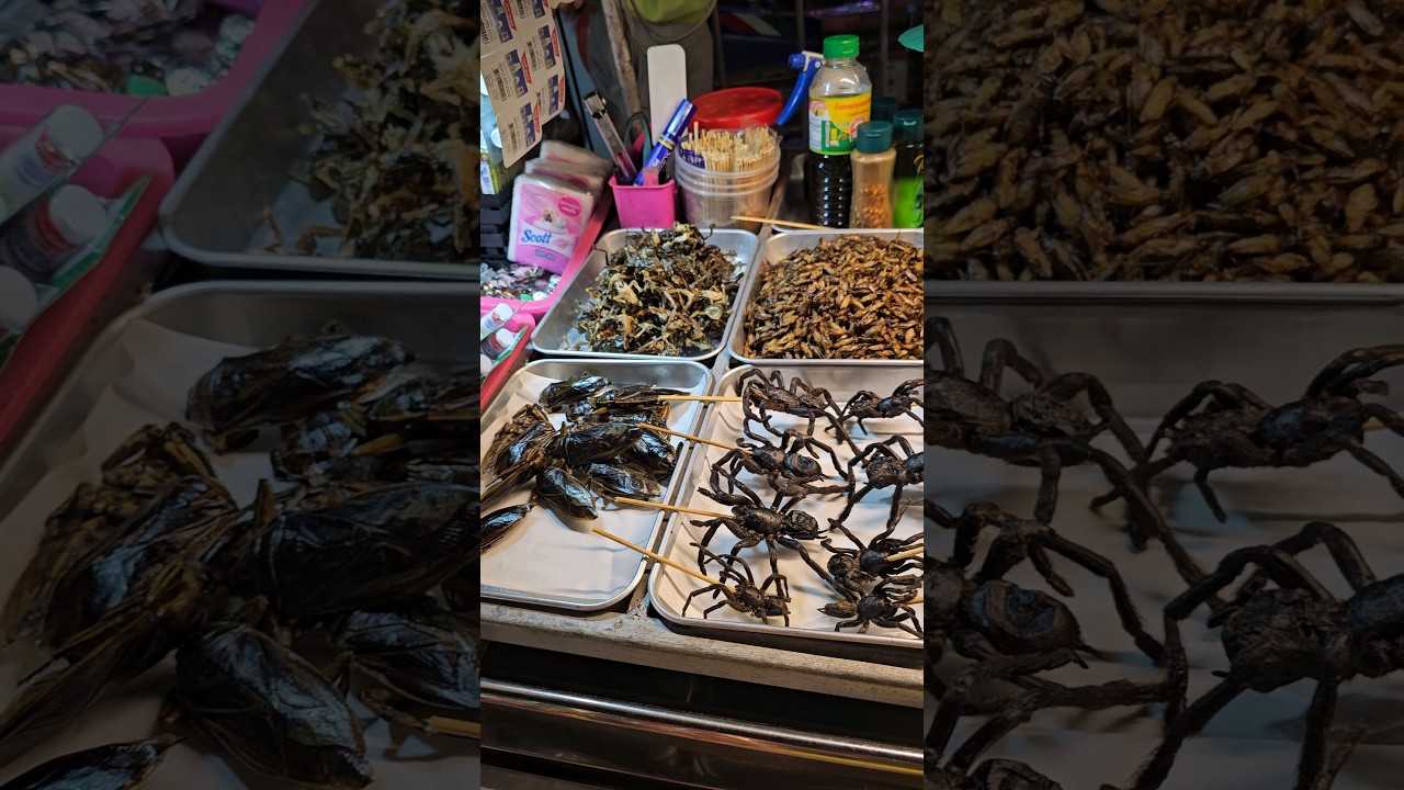 Exotic Food in Khaosan Rd, Bangkok!!!!🫣😬😵#bangkok #thailand #exoticfood #streetfood #khaosanroad