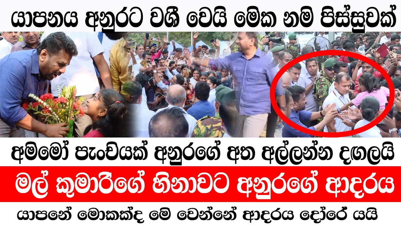 පැංචියක් අනුරගේ අත අල්ලන්න දඟලයි /යාපනය අනුරට වශී වෙයි/බලන්නම වටින අලුත්ම දර්ශන/@ADARATANEWS