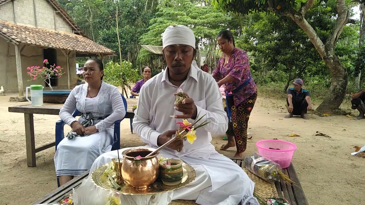 Dudonan Nganteb Pemangku " PACOLONGAN / TUTUG KAMBUHAN "