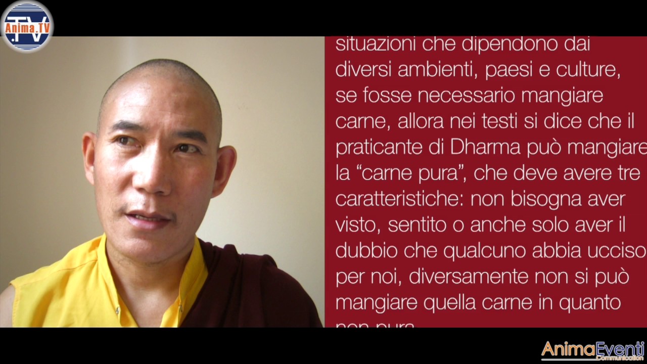 Chamtrul Rinpoche (Eng + Sub Ita) - Buddhismo e vegetarianesimo