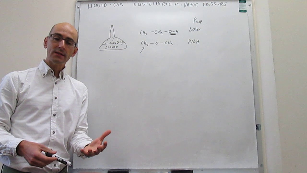 Liquid-gas equilibrium: vapor pressure