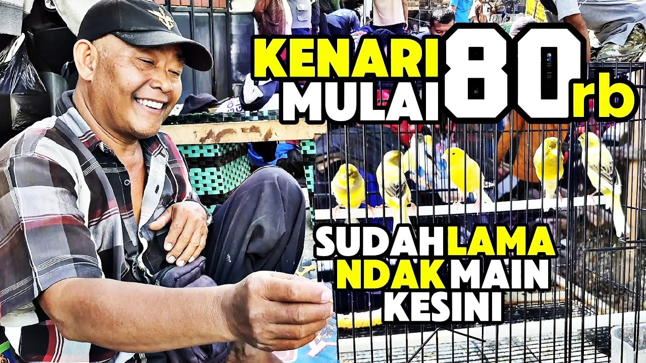 VLOG PASAR‼️Kenari HARGA MURAH melimpah di sini......