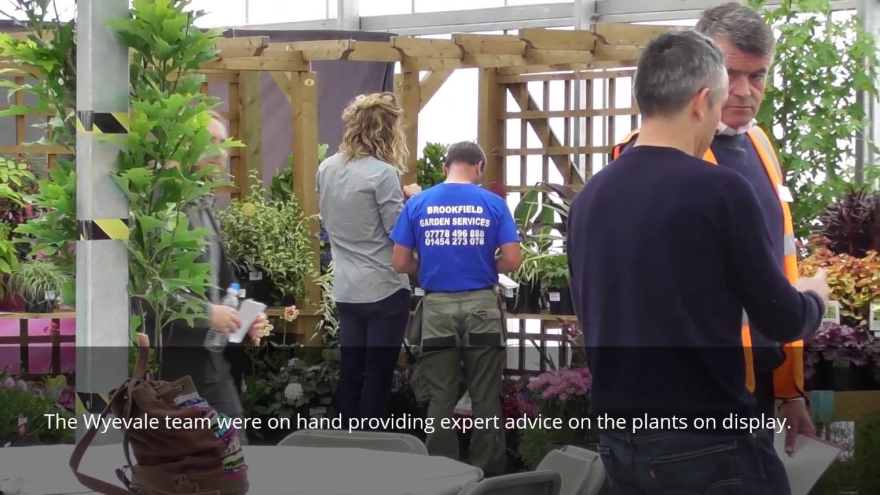 Wyevale Nurseries Open day   The Movie