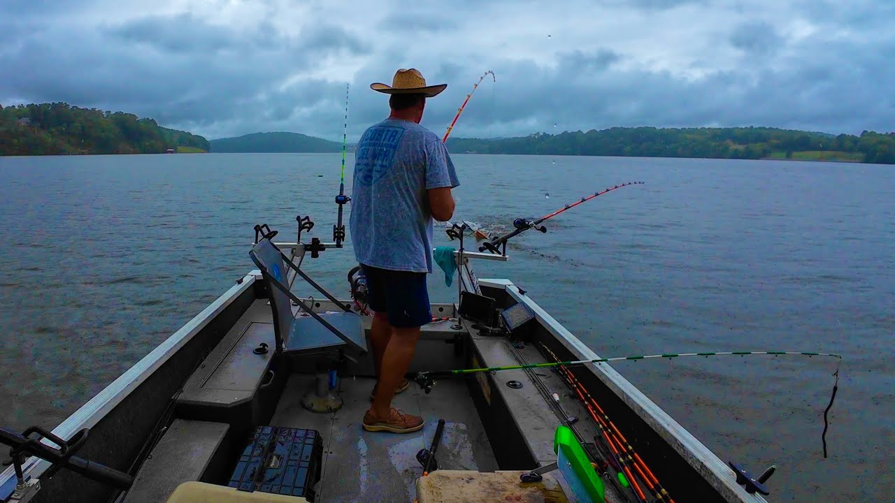 The Day The Rain Set The Fish On Fire