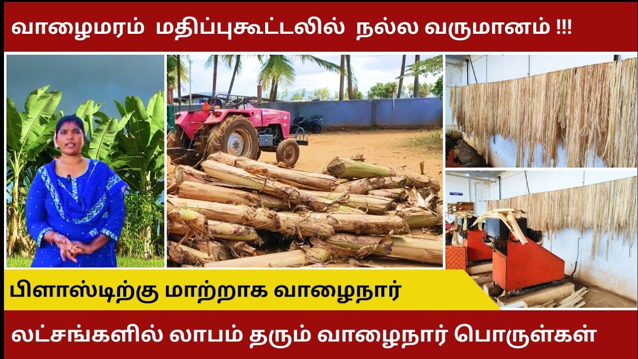 நல்ல லாபம்💸 தரும் வாழைநார் மதிப்புகூட்டல் || Banana fiber