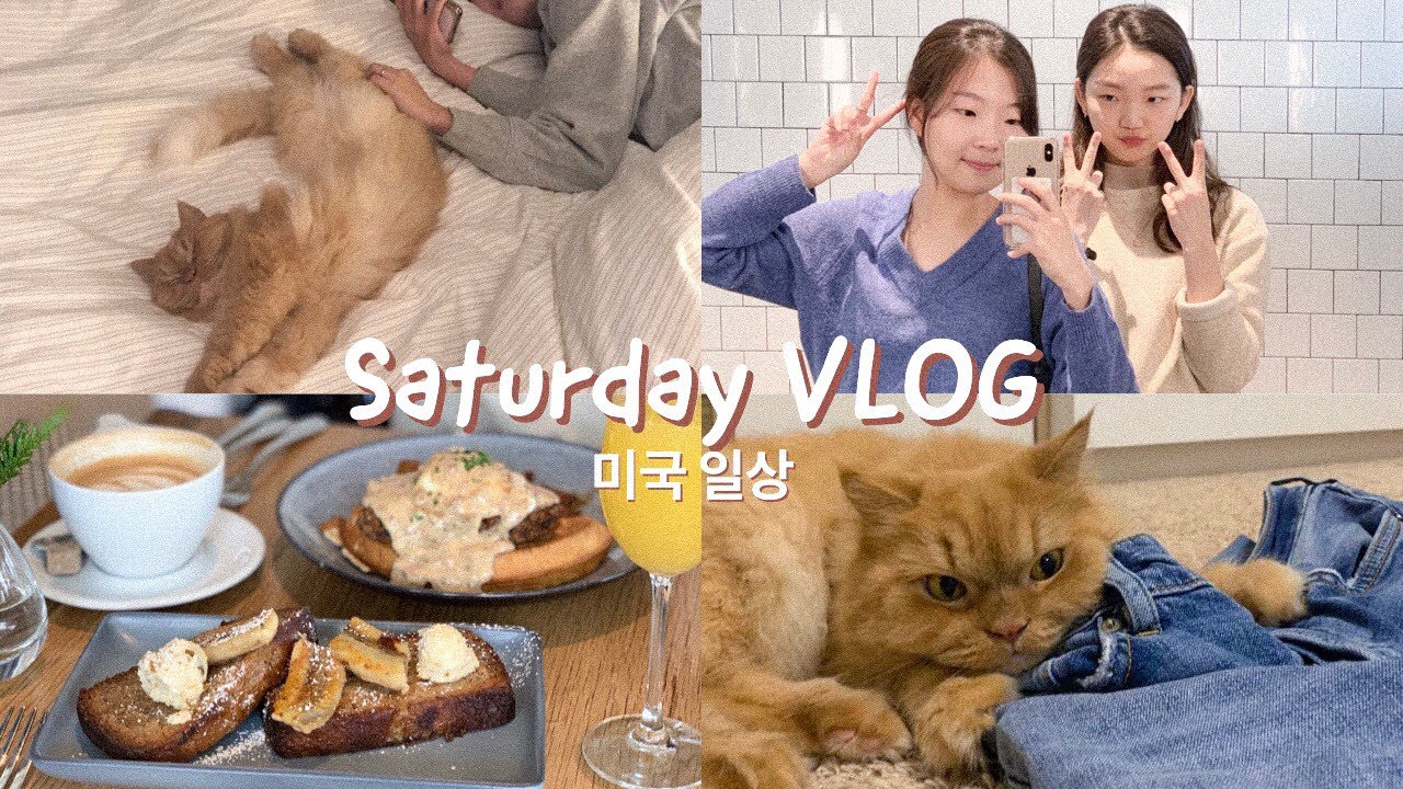[Youjin유진 VLOG] 장거리 자매의 !노잼! 토요일 브이로그 (브런치, 집사생활, 미국 일상)