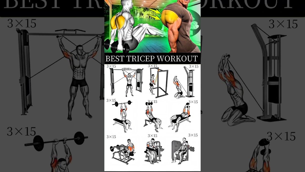 Ultimate guide to the best tricep workout for all levels 