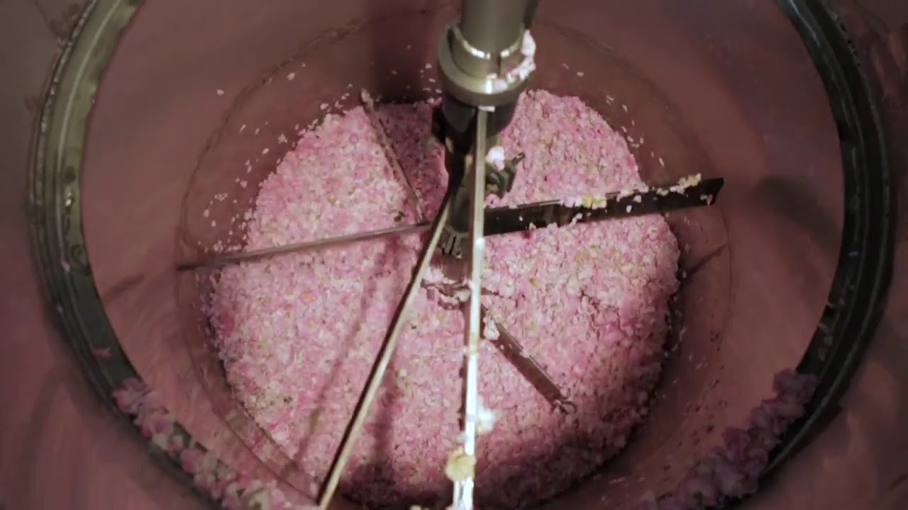 Taif Roses