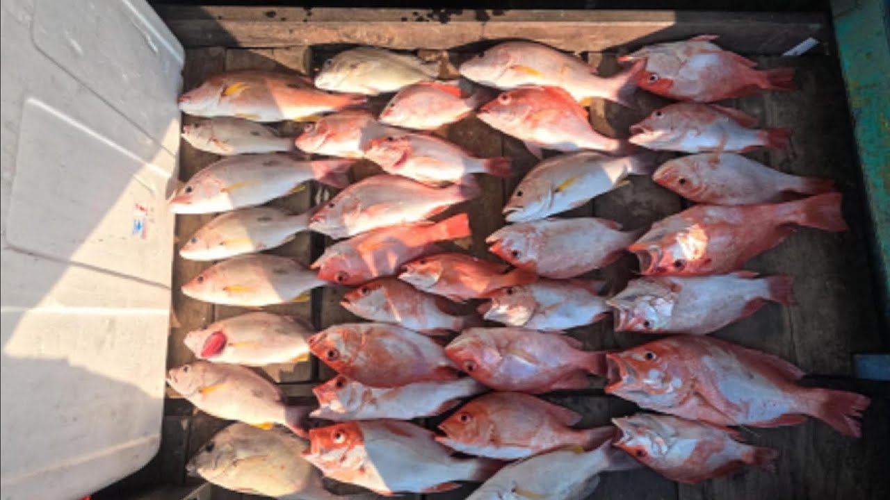 Spot mancing muara keli | kapten wahyu muara badak bersama tim angler covid-19