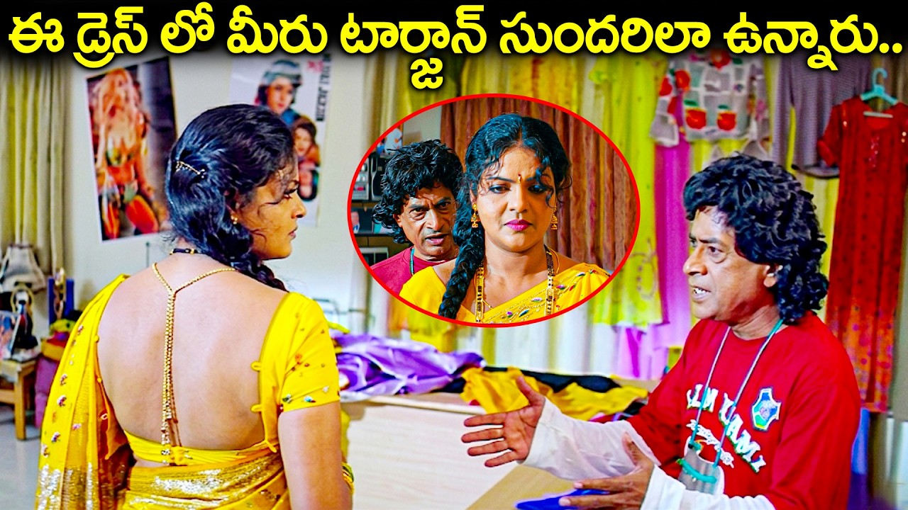ఈ డ్రెస్ లో మీరు టార్జాన్ సుందరిలా ఉన్నారు.. | M S Narayana And Sunil Evergreen Comedy Scene