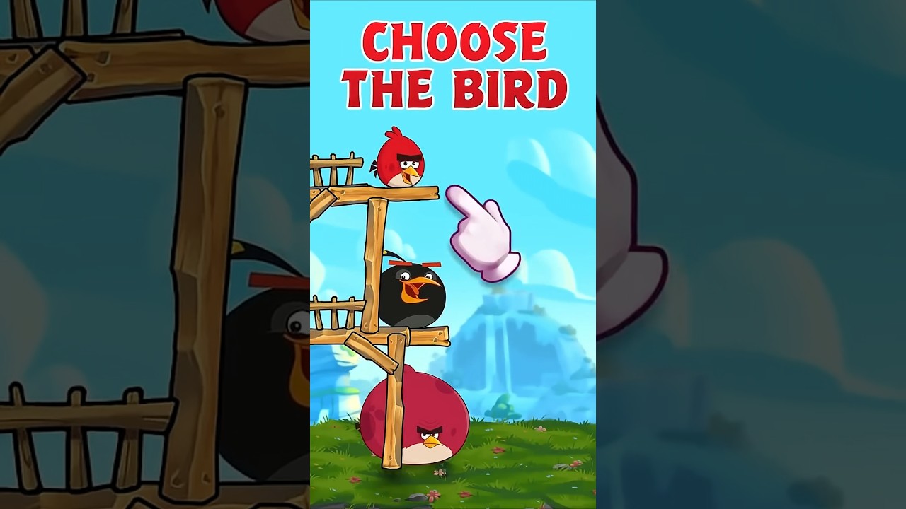Which bird would you choose? 🤔