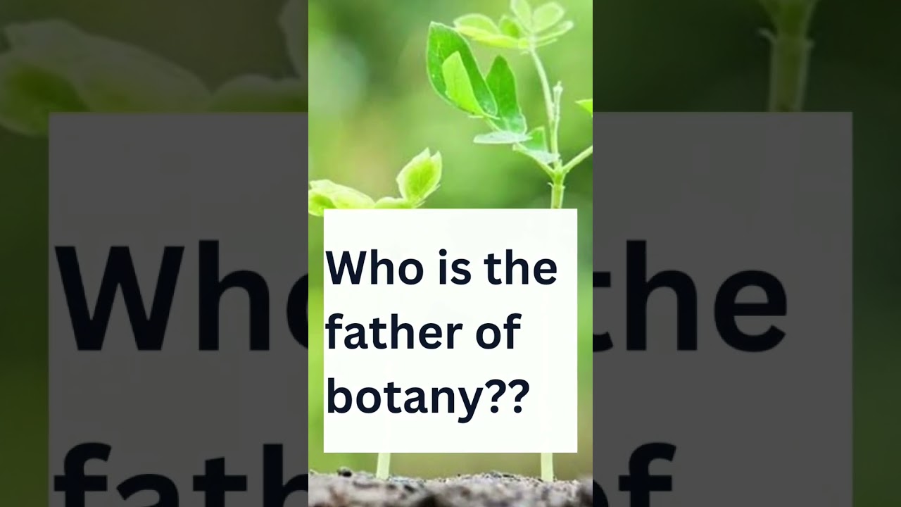 who is the father of botany??
