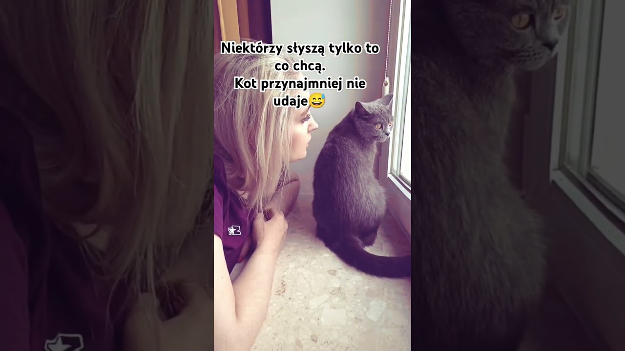 Ja m&oacute;wię a cisza odpowiada #kot #kota #kociara #miłość #zwierzę #shorts #short #dlaciebie #rozmowa