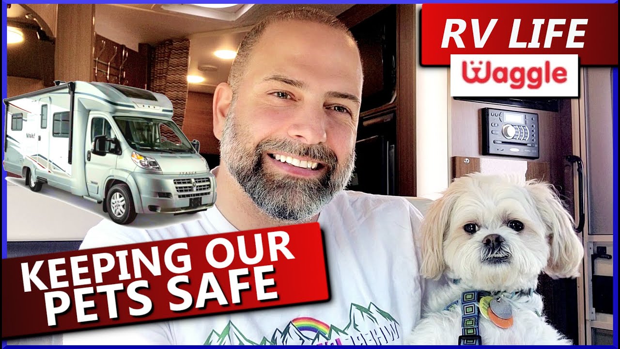 WAGGLE : Keep PETS SAFE in your RV (Perfect RV Gadgets)