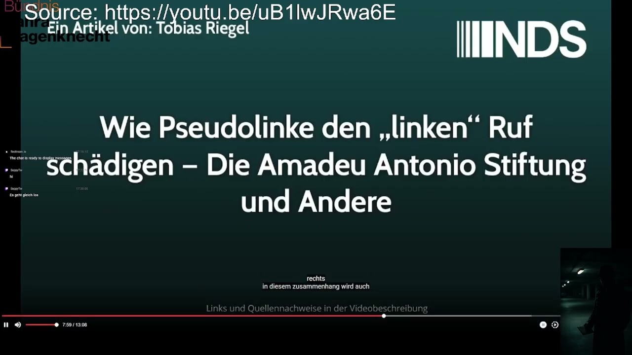 Wie Pseudolinke der Linken Bewegung schaden