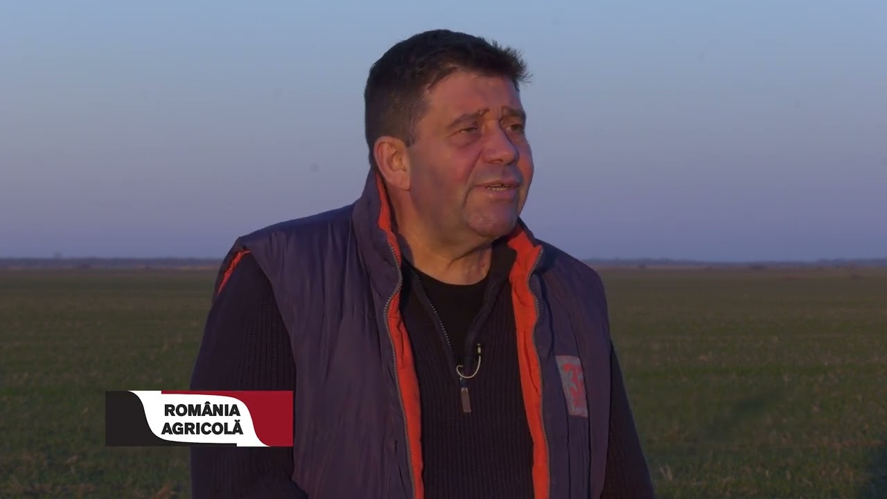 Pro și contra minimum tillage