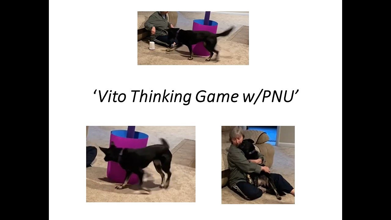 Vito&rsquo;s thinking game around PNU