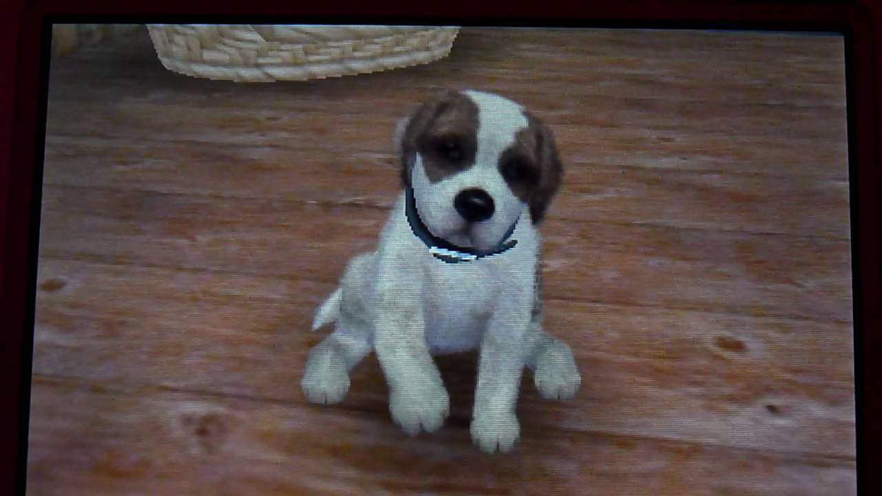 Nintendogs+cats :présentation de mes chiot + petit soin habituel de tout les jours