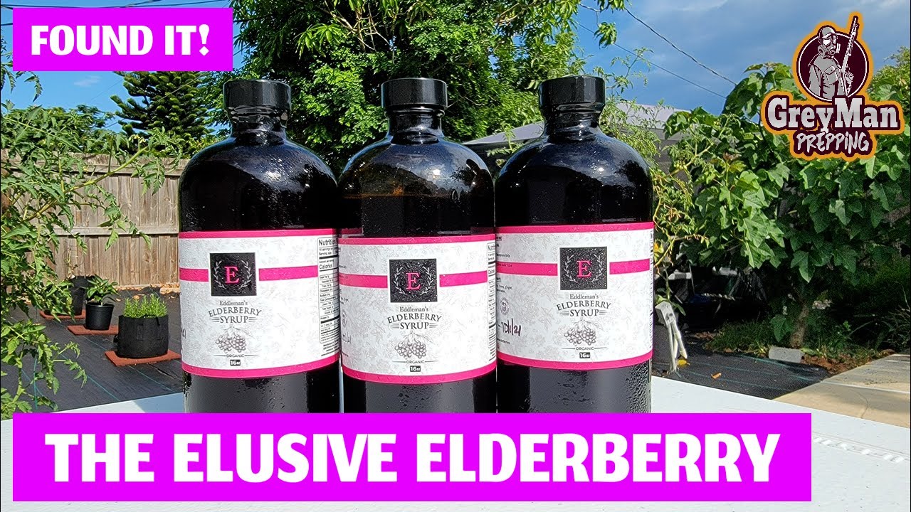 Found It! THE ELUSIVE ELDERBERRY What Are The Health Benefits?