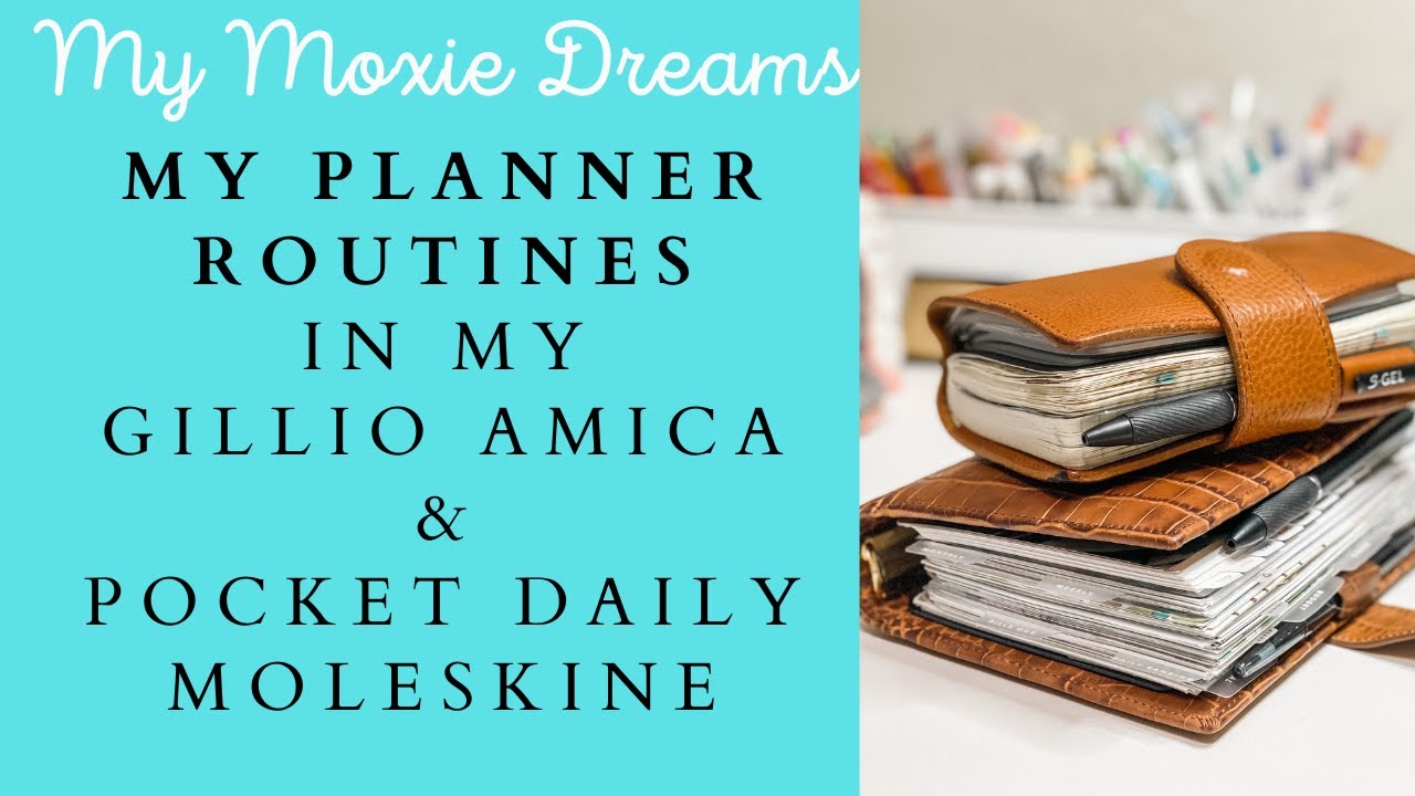 Мои ежедневники | Карманный ежедневник Moleskine | Карманный ежедневник | Вкладыши Gillio Amica F...