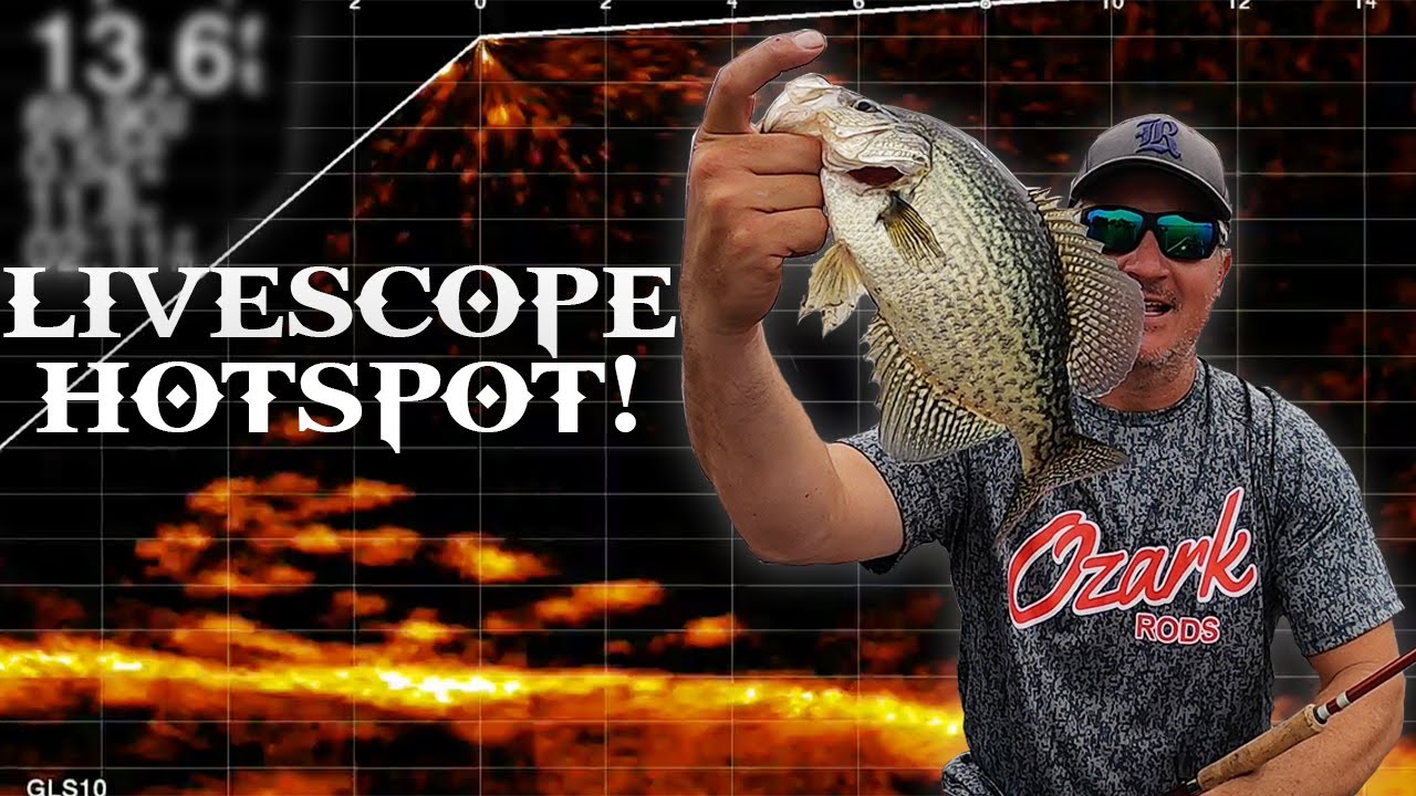 Crappie Brushpiles with LIVESCOPE