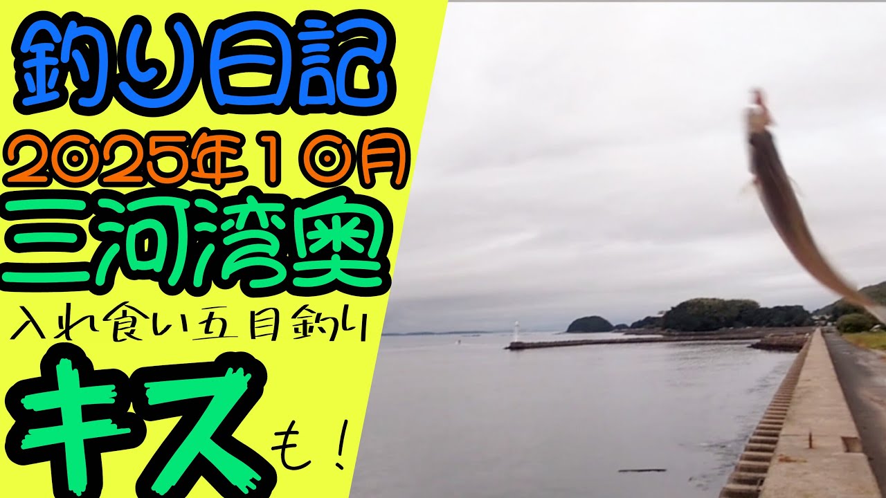 【三河湾】過去の実績を参考にキスを狙ってみた結果