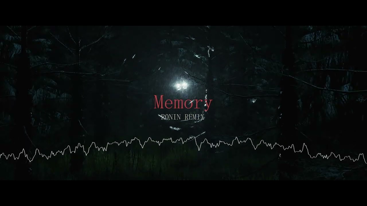 Memory [R0NIN REMIX]