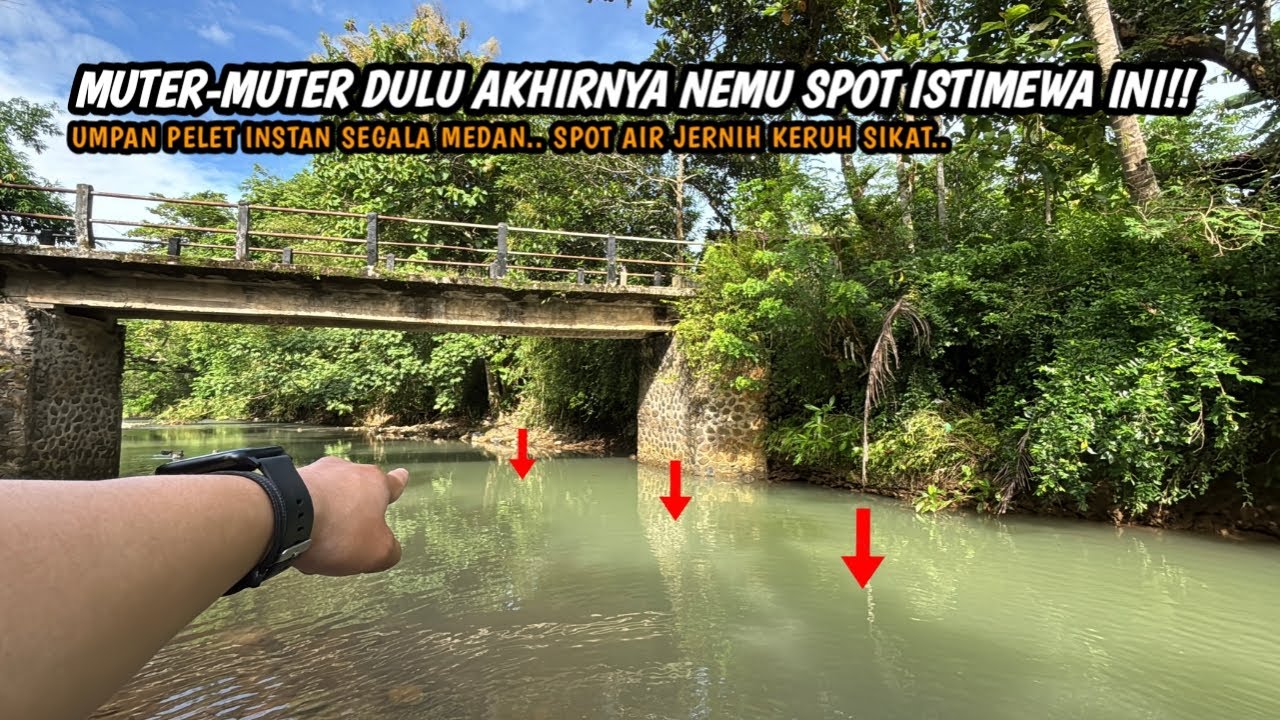 UMPAN INI TERBUKTI AMPUH UNTUK AIR KERUH DAN JERNIH!! Mancing wader teknik kumbul umpan rasbora