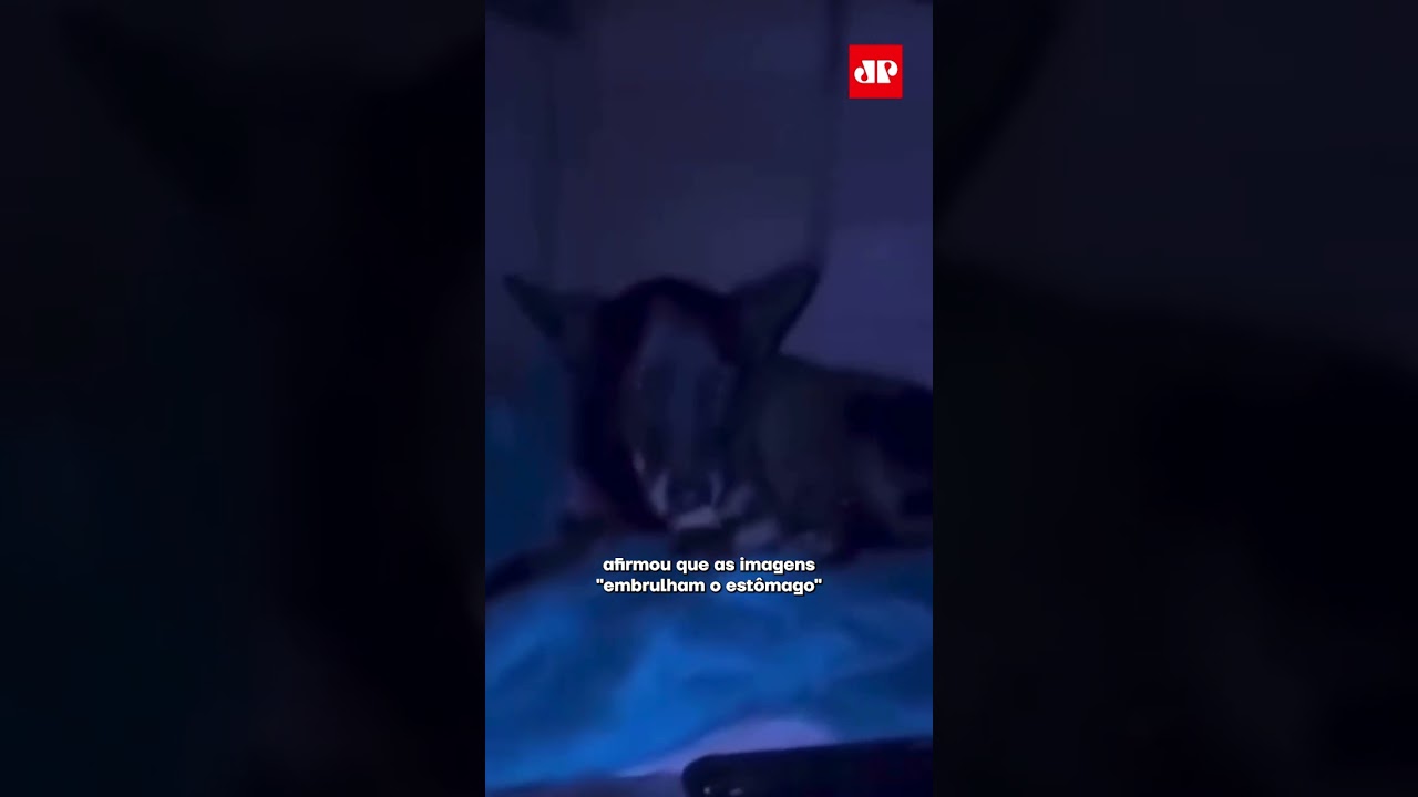 Como&ccedil;&atilde;o e busca por justi&ccedil;a no caso do C&atilde;o Orelha #shorts