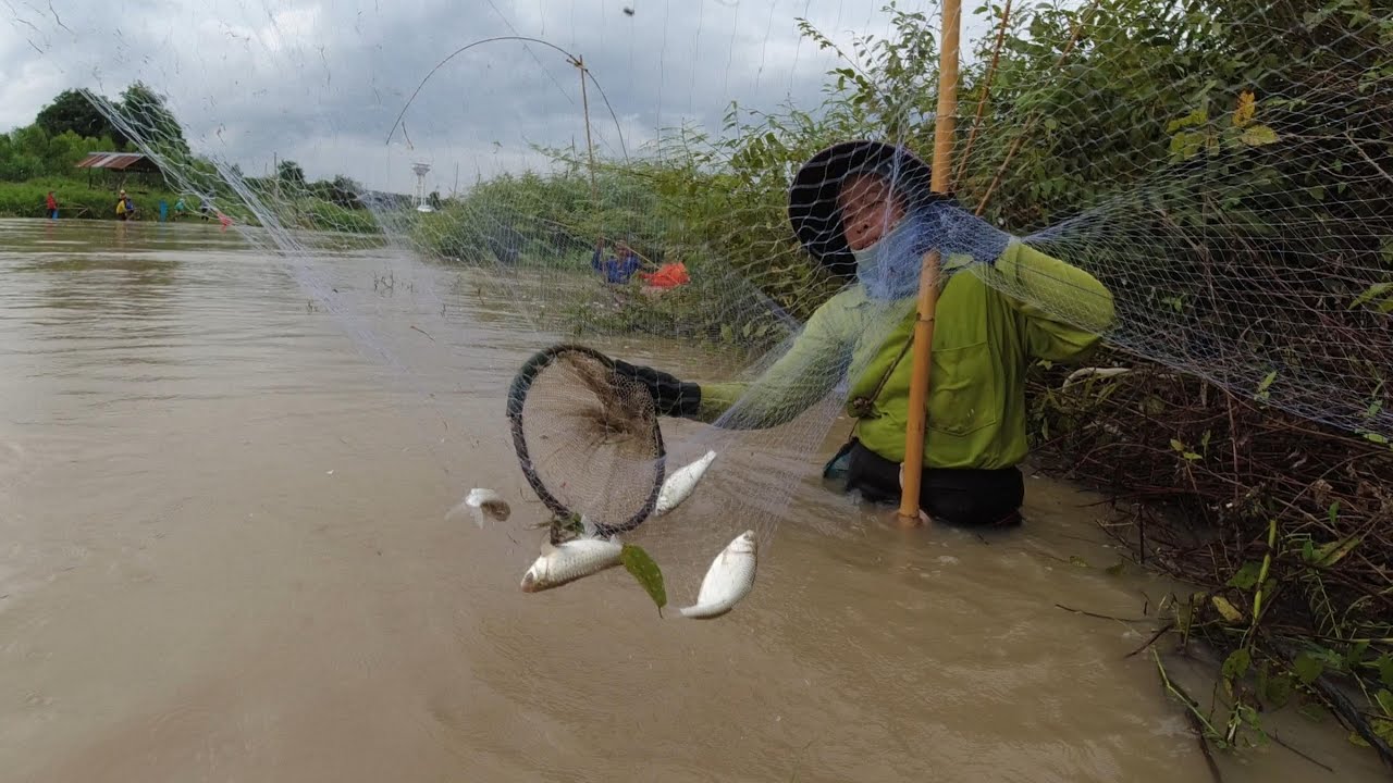 ยกยอน้ำไหล เอาปลาขาวห้วยแกง ปลาเข้าทุกจังหวะ #fishinglife #ยกสะดุ้งหาปลา #ยกยอปลา