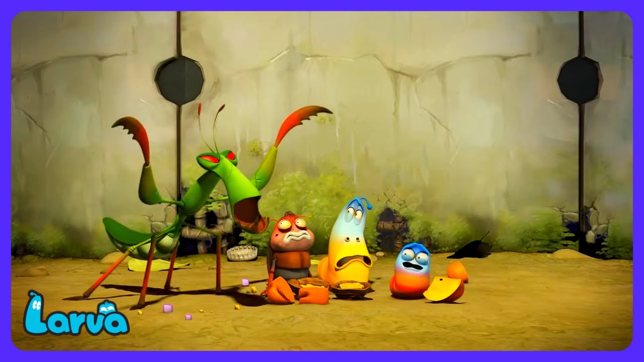Larva - O Louva-a-deus Lutador! | Desenhos Infantis | WildBrain Crianças