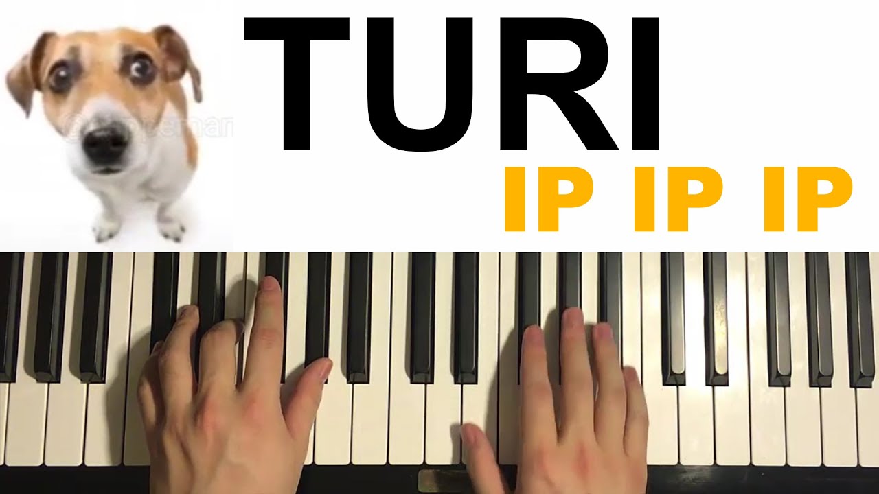 turi ip ip ip - Meme Song (Piano Tutorial Lesson)