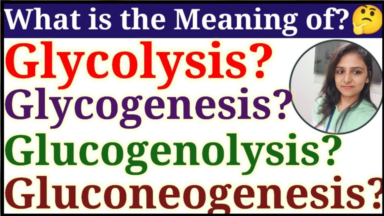 Differences between Glycolysis/Glycogenesis/Glycogenolysis/Gluconeogenesis 