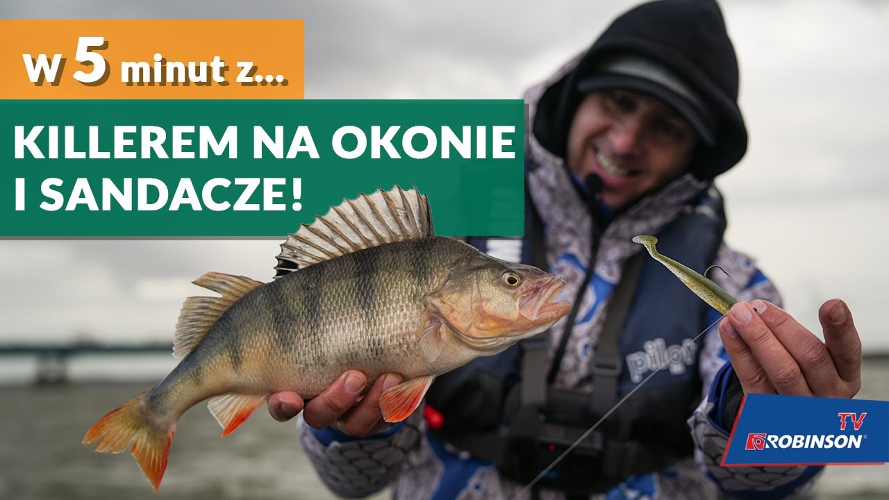 W 5 minut z najlepszą przynętą na okonie i sandacze! #NOWOŚCIROBINSONA 15