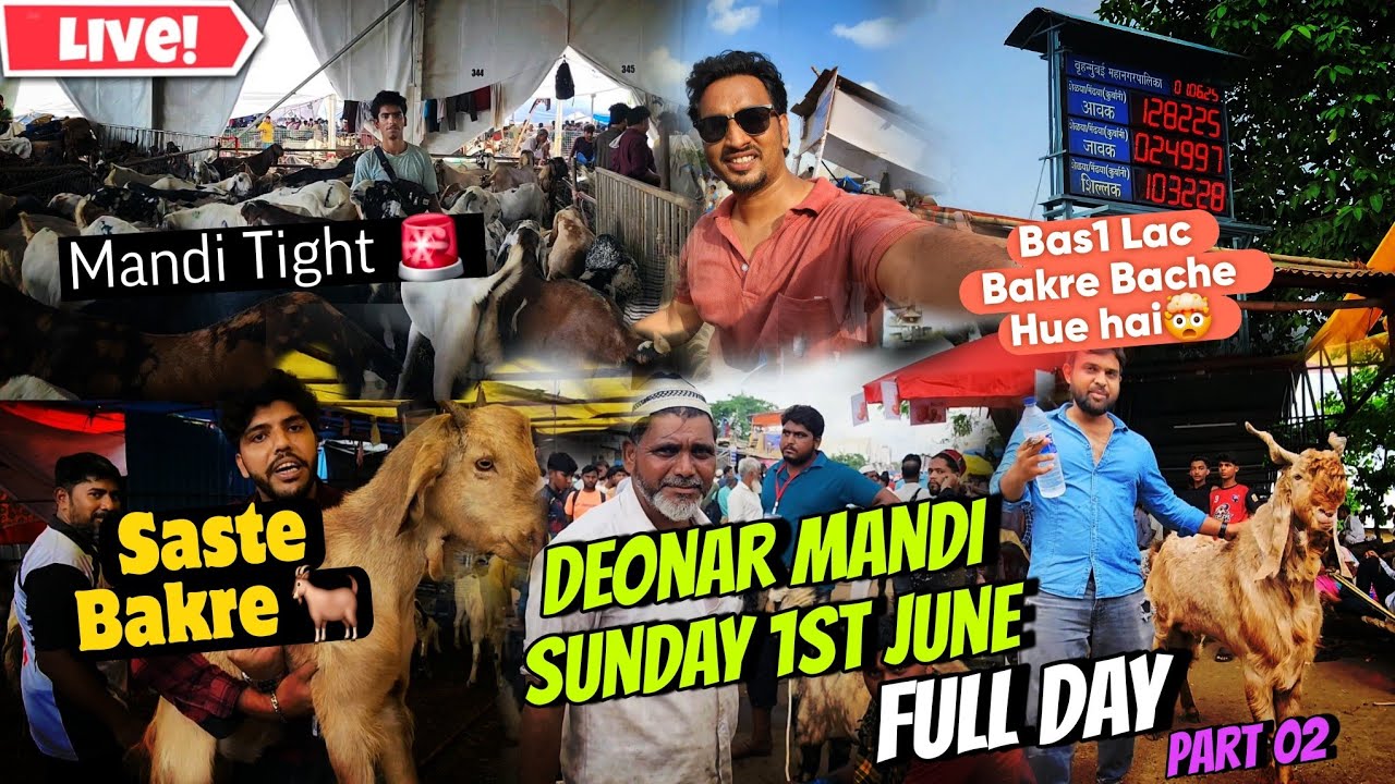 Deonar Mandi Tight on Sunday 1st June 2025 | Full Bakra Price Reveal! 🐐🔥