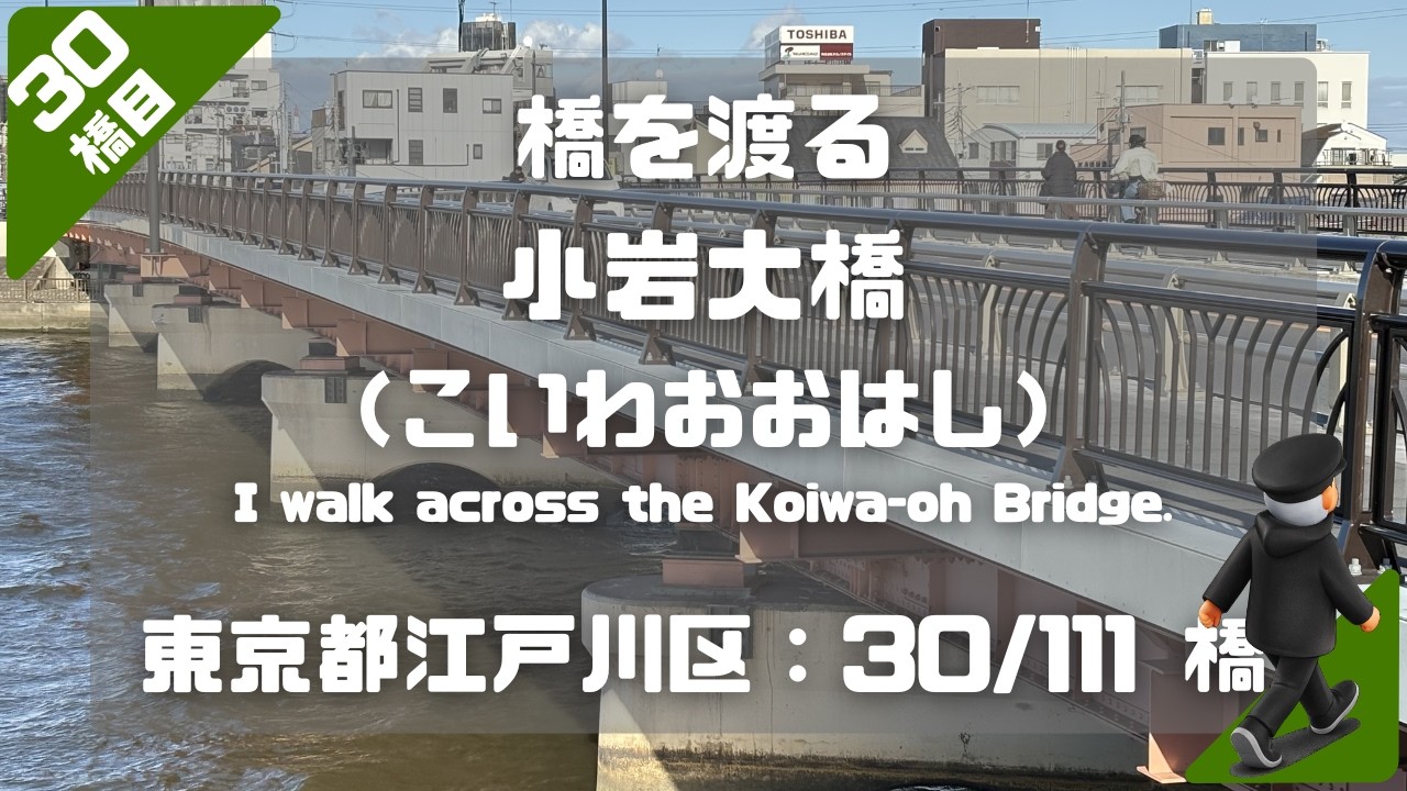 小岩大橋（こいわおおはし）を渡る（東京都江戸川区：30/111橋）