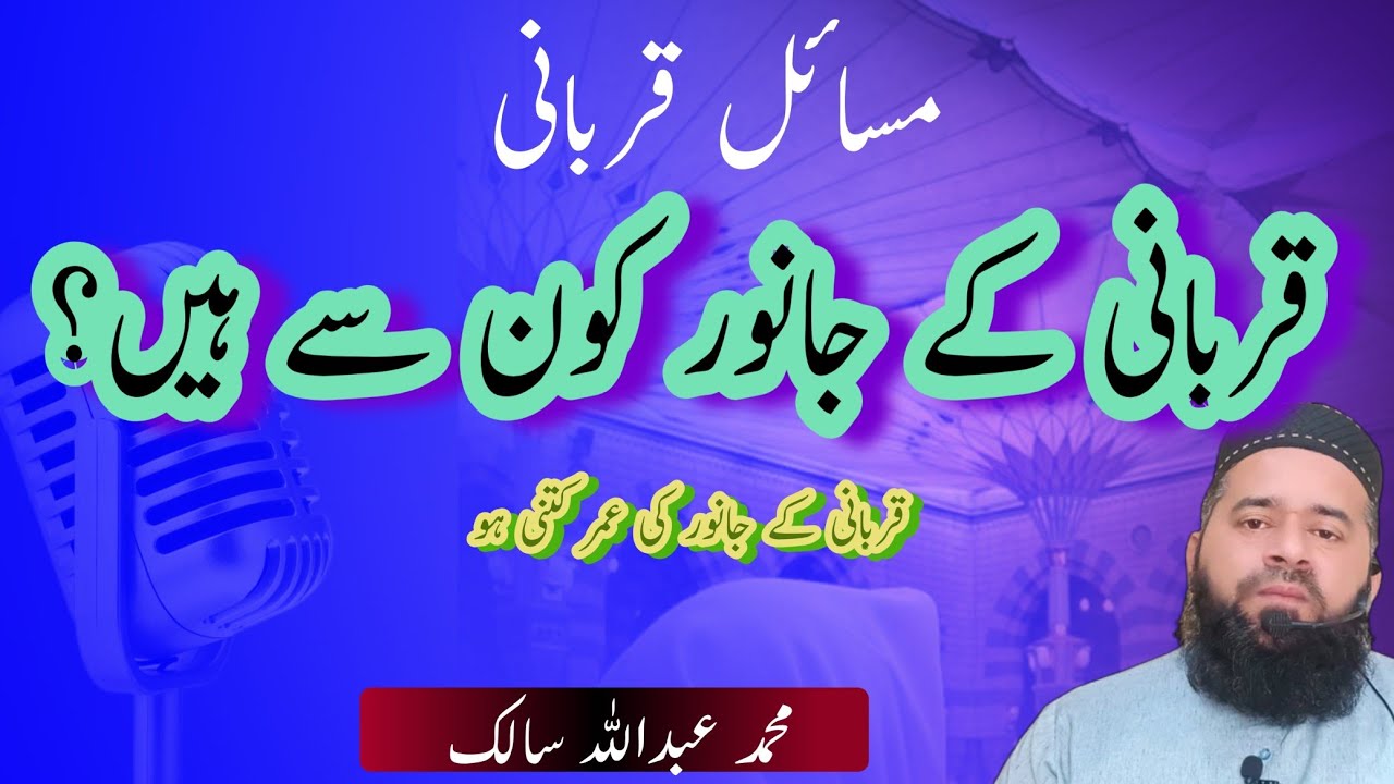 Qurbani ke Janwar Ki Umar Kya Honi Chahiye? Ahem Masla Asaan Alfaaz Mein