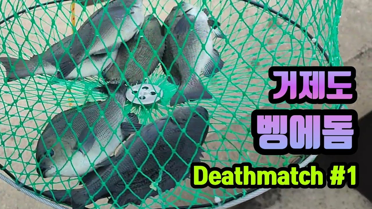[ 서민낚시 시즌2 출항 146 ] 거제도 벵에돔낚시 Deathmatch #1  벵에돔 빵가루낚시 6일차.