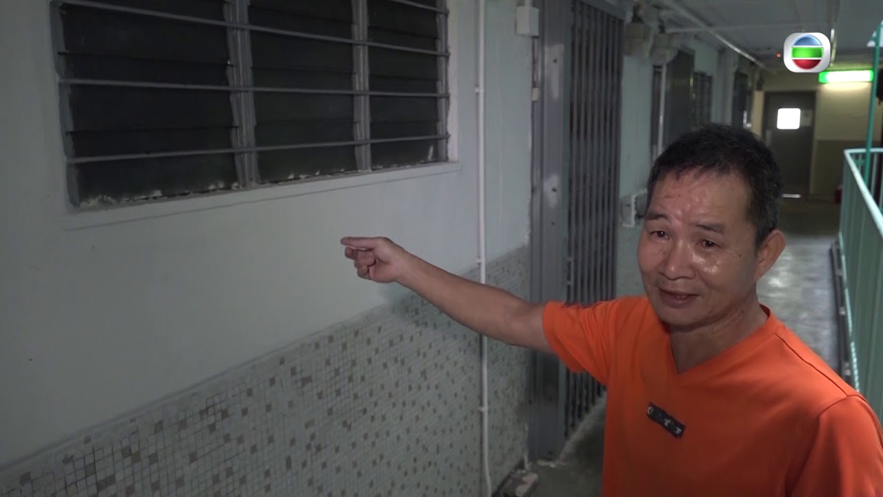 東張西望 | 木蝨社區大爆發！| 街坊都嬲到大爆發！| 木蝨防治