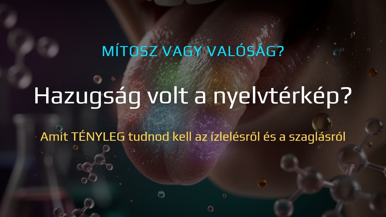 Hazugság volt a nyelvtérkép? – Amit TÉNYLEG tudnod kell az ízlelésről és a szaglásról